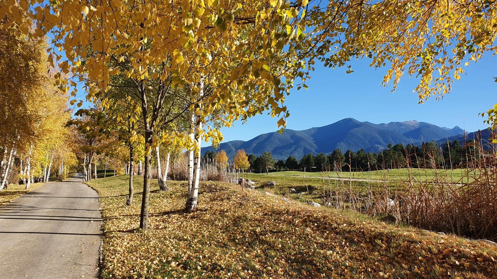 Green Peaks Suite In Pirin Golf & County Club 拉兹洛格 外观 照片
