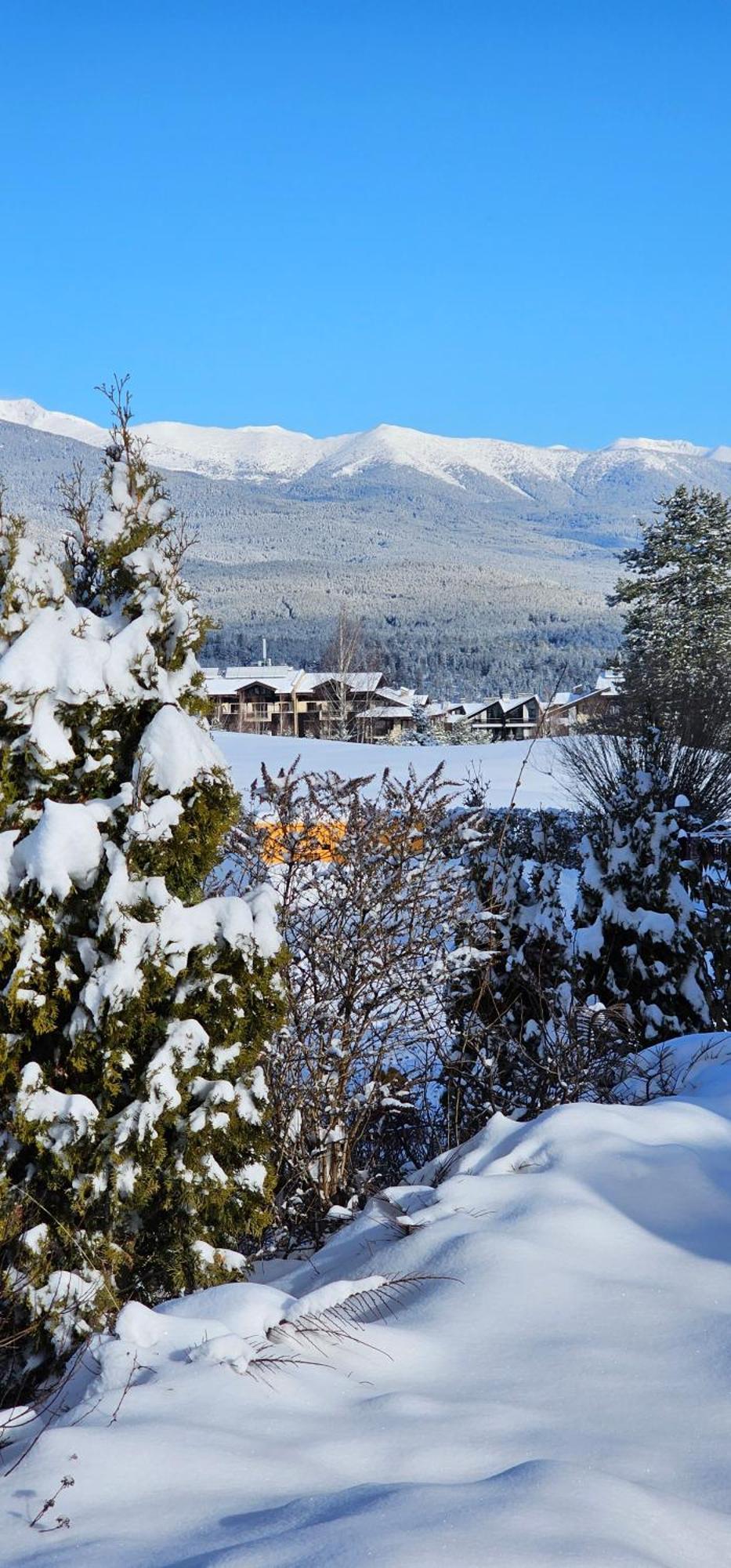 Green Peaks Suite In Pirin Golf & County Club 拉兹洛格 客房 照片