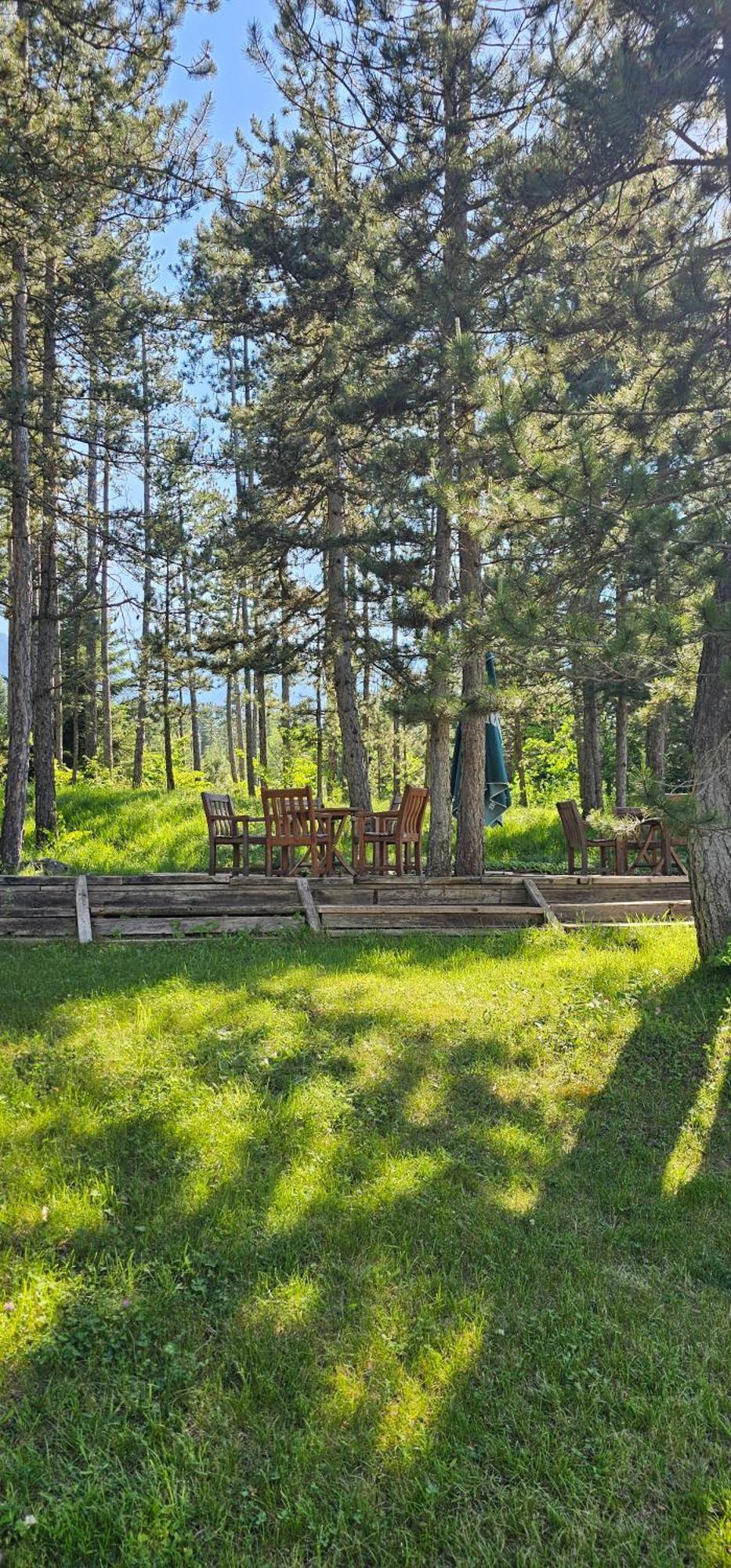Green Peaks Suite In Pirin Golf & County Club 拉兹洛格 客房 照片