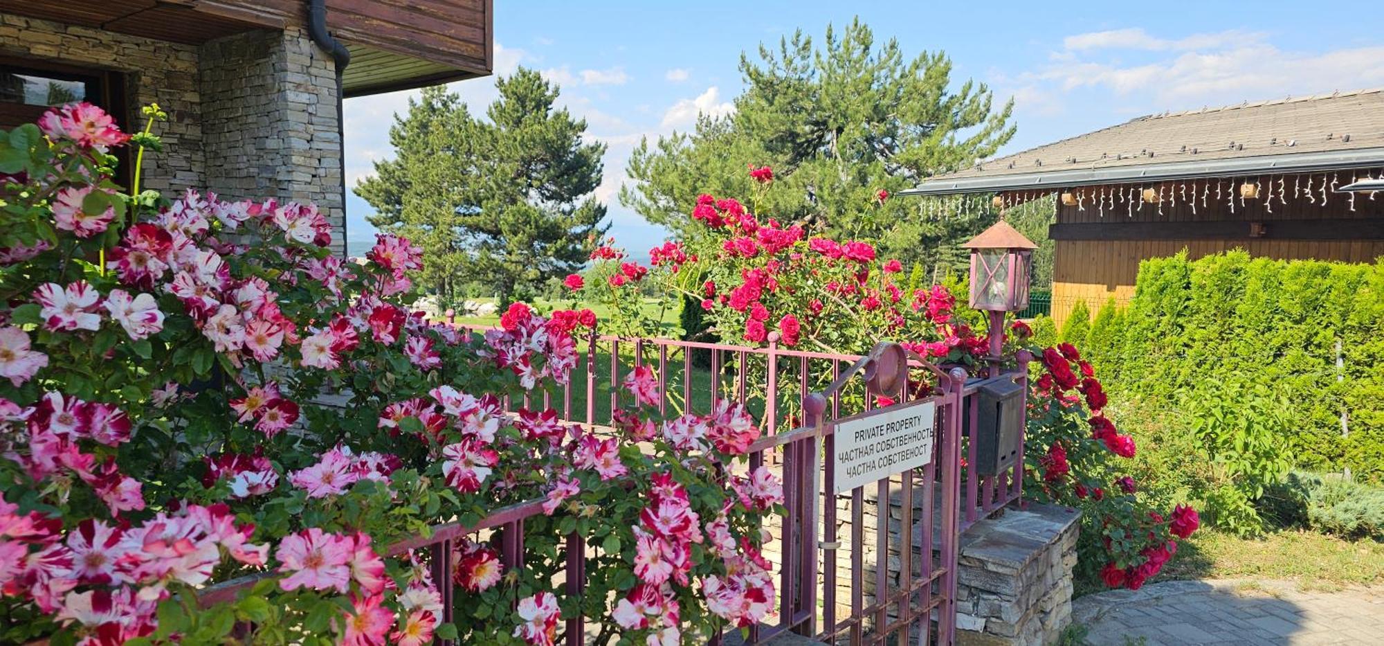 Green Peaks Suite In Pirin Golf & County Club 拉兹洛格 外观 照片